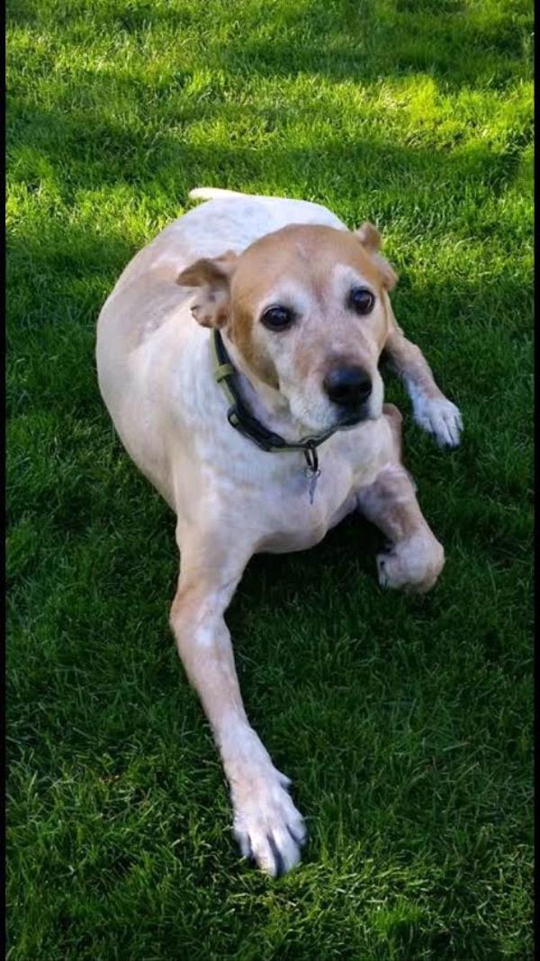 /Images/uploads/Humane Society of Utah/HSUCalendar/entries/1571thumb.jpg